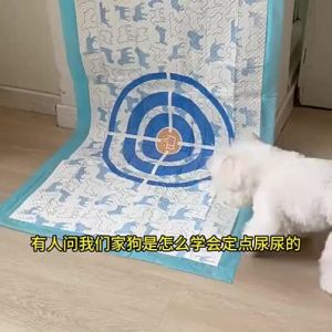 Hipidog | Thảm lót vệ sinh cho chó dày dặn khử mùi thấm hút tốt phù hợp tập đi vệ sinh cho chó con