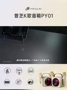 PRINCE | Wireless Bluetooth KTV Set Home Karaoke
