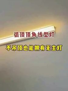 PAIMIJI | Suspension Ceiling Light Strip for Living Room Corner