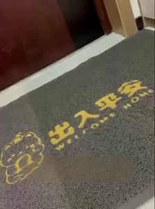 LUOYOUTE | Entryway Dust-Resistant Fuzzy Mat