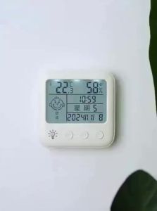 DELIXI | High Precision Baby Room Wall Hanging Thermohygrometer Clock