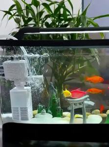 KUOTING | Bể Cá Bàn Lọc Oxy