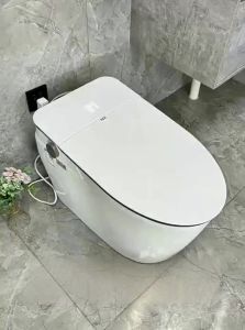 TEM | Automatic Cleaning and Drying Smart Toilet