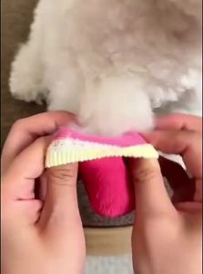 hipidog | Waterproof Soft Bottom Non Slip-off Dog Shoes