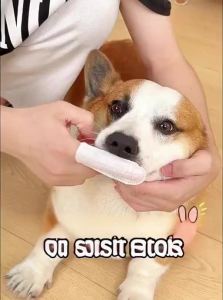 7o | Dental Cleaning Teeth Deodorizing Pets Oral Hygiene Products
