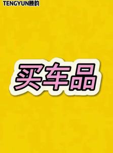 TENGYUN | Stainless Steel License Plate Frame for Toyota Corolla RAV4 Asian Dragon and More