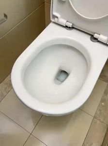 Strong Urine Scale Remover Toilet Cleaner