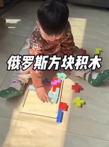 MWZ | Educational Tetris Block Puzzle Toy