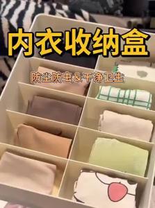 SIVASS | Three in One Underwear Organizer