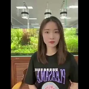 sunsun | Hệ Thống Lọc Ngoài 3-trong-1 Im Lặng