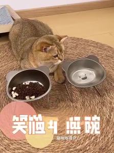 7o | Stainless Steel Elevated Tilted Pet Feeding Bowl