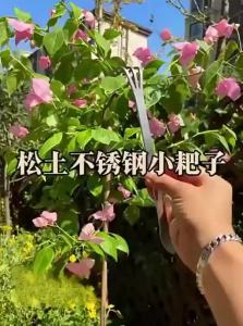 YouPin |Small Stainless Steel Gardening Rake