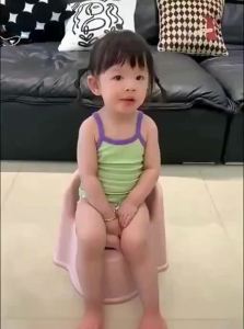 ZHIFUXIAOLUBAN | Children Toilet Training Potty