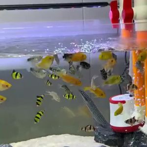 NAICHONG | Red Worm Imitation Small Fish Food