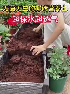 Nutrient-rich Universal Coconut Soil Peat Potting Mix