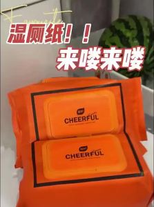 Botare | Flushable Moist Wipes for Sensitive Areas