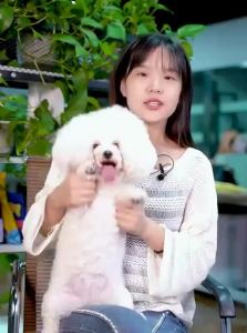 HUXINXIAN | Tear Stain Removal White Coat Specific Dog Food