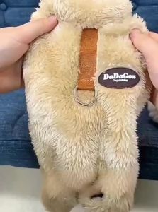 VOA | Áo Khoác Chống Lạnh Cho chó Breed Nhỏ