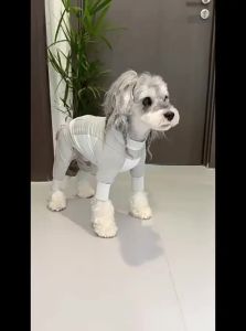 POPOCOLA | Cool & Insect-Repellent Dog Summer Clothing