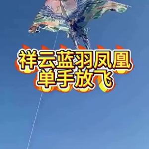 XIAOYAOJIN | Easy Fly Large Professional Kite