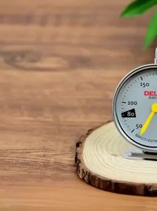 DELIXI | Accurate Heat-Resistant Oven Thermometer