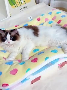 VOA | Winter Thickened Thermal Pet Blanket For Cats