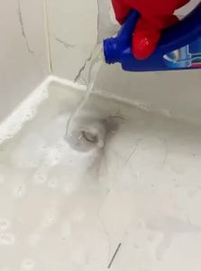 Blockage Removal Toilet Pipe Cleaner