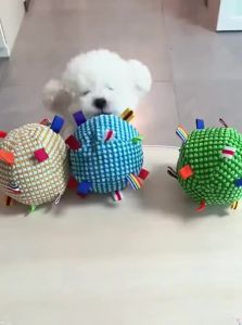 VOA | Interactive Sound-Producing Toy Ball for Small Dogs