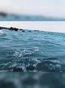 MiiOW | Quần Áo Dệt Kim Cổ Cao Pha Len Ấm Áp