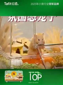 Tafit | Transparent Extra-large Hamster Cage Acrylic