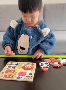 MWZ | 3D Wooden Jigsaw Puzzle Educational Toy