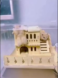 VOA | Wooden Hideout & Toy House for Hamsters