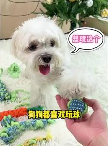 7o | Durable Chewing Knot Rope Ball Toy
