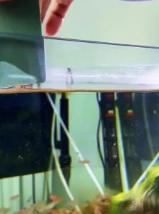 VOA | Water Stain & Scale Remover for Aquarium Glass