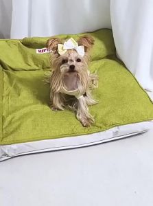 hipidog | Seasonal Universal Washable Waterproof Dog Bed for Medium and Small Dogs