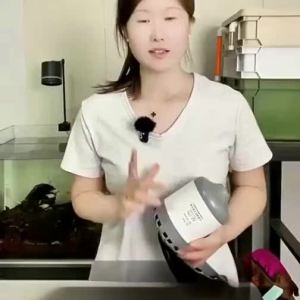 NAICHONG | Bơm Ngập Chìm Điều Chỉnh Lưu Lượng Cao Ít Ồn