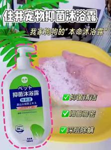 hipidog | Antibacterial and Deodorizing Pet Shampoo
