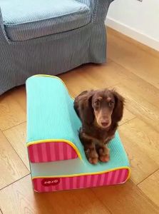 zeze | Pet Stair Steps for Small Dogs and Senior Dogs Bedside Climbing Ladder Washable Sponge