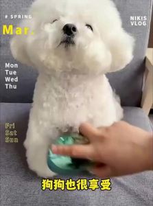 VOA | Pet Grooming Massage Comb Grooming