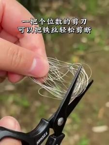 DIAOHAINI | Multifunctional Titanium Coated Fishing Line Scissors