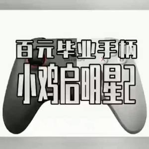 Gamesir | Wireless Game Controller Compatible with Nintendo Switch 2