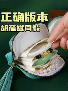 ZUOOU | Celebrity Style Portable Jewelry Pouch