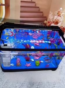 KUOTING | Trang Trí Hệ Sinh Thái Lọc Oxy Bể Cá Phóng Đại Trên Bàn