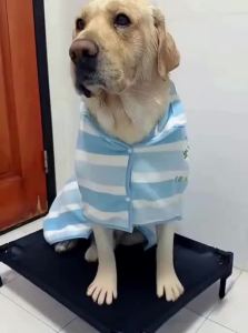 hipidog | Super Absorbent Quick Dry Dog and Cat Bath Towel