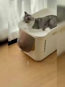 Hộp Cát Vệ Sinh Cho Mèo Kín Chống Bắn Rộng Lớn Popocola