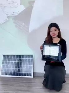 MaiMeng | Solar Powered Waterproof High Brightness Outdoor Floodlight