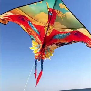 SHENWO | Large Size Easy to Fly Kite for Children and Adults