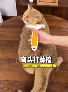 7o | Detangling & Thinning Cat Grooming Brush