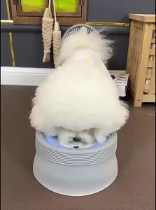 hipidog | Mouth-Not-Wet Dog Water Dispenser