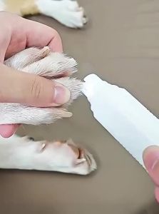 Hipidog | Electric Pet Nail Grinder Dog Cat Claw Sharpener Small Large Dogs Nail Trimming Tool Pet Grooming Equipment Hipidog